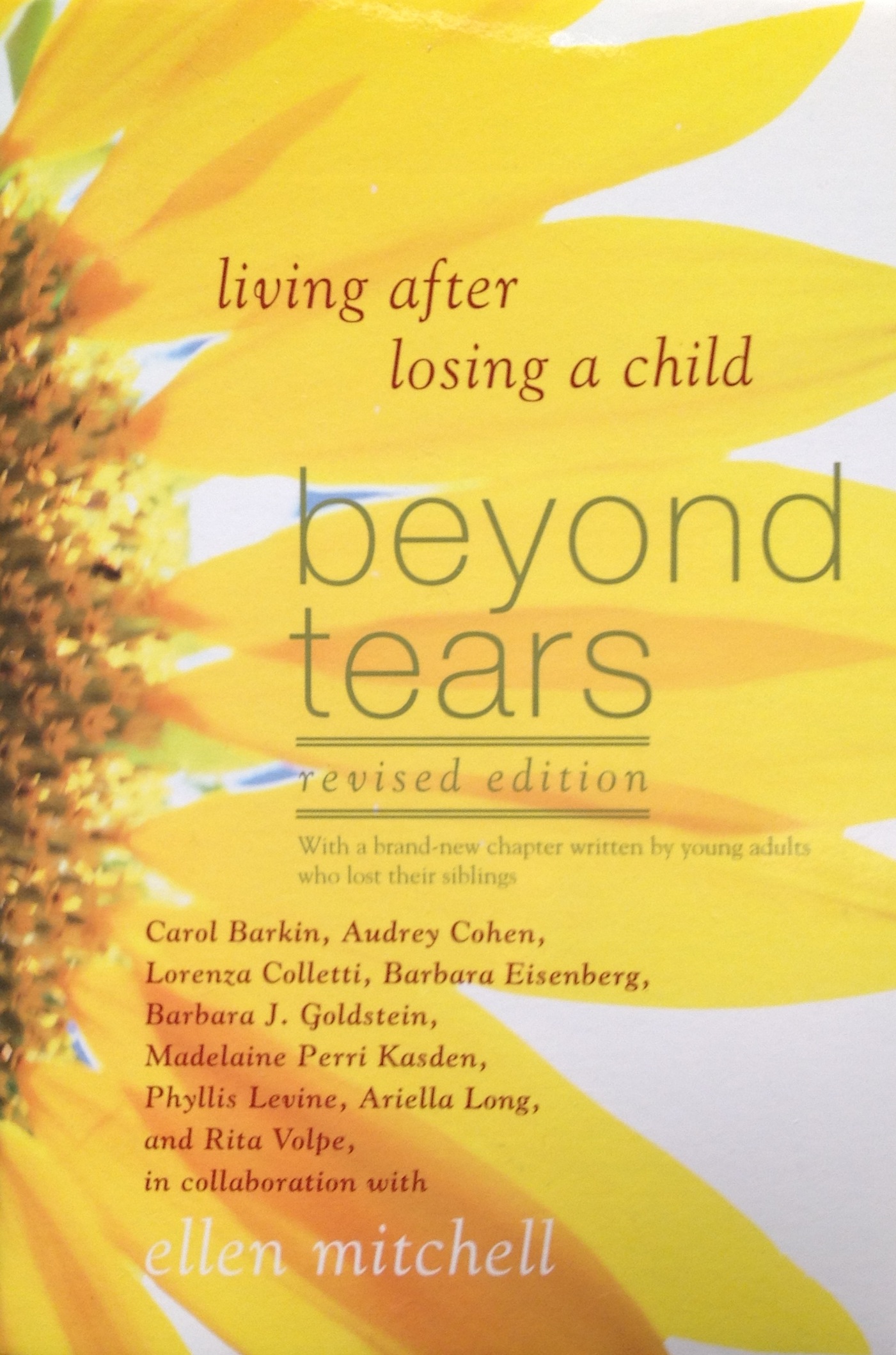  - bookshelf-beyond-tears